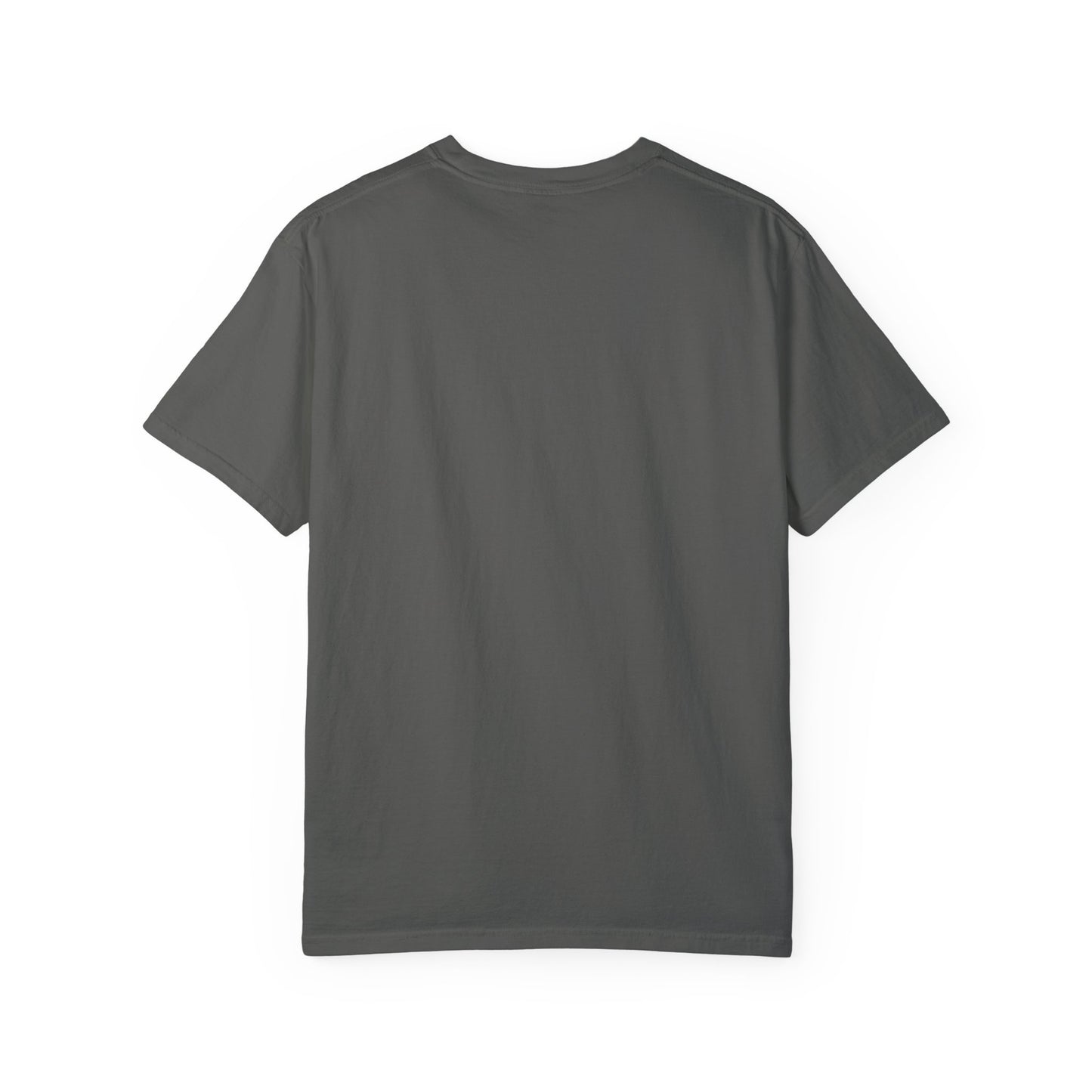 Unisex Garment-Dyed T-shirt the thinking man